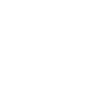 NASTY BERRIES logo