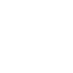 LAFLECHE logo